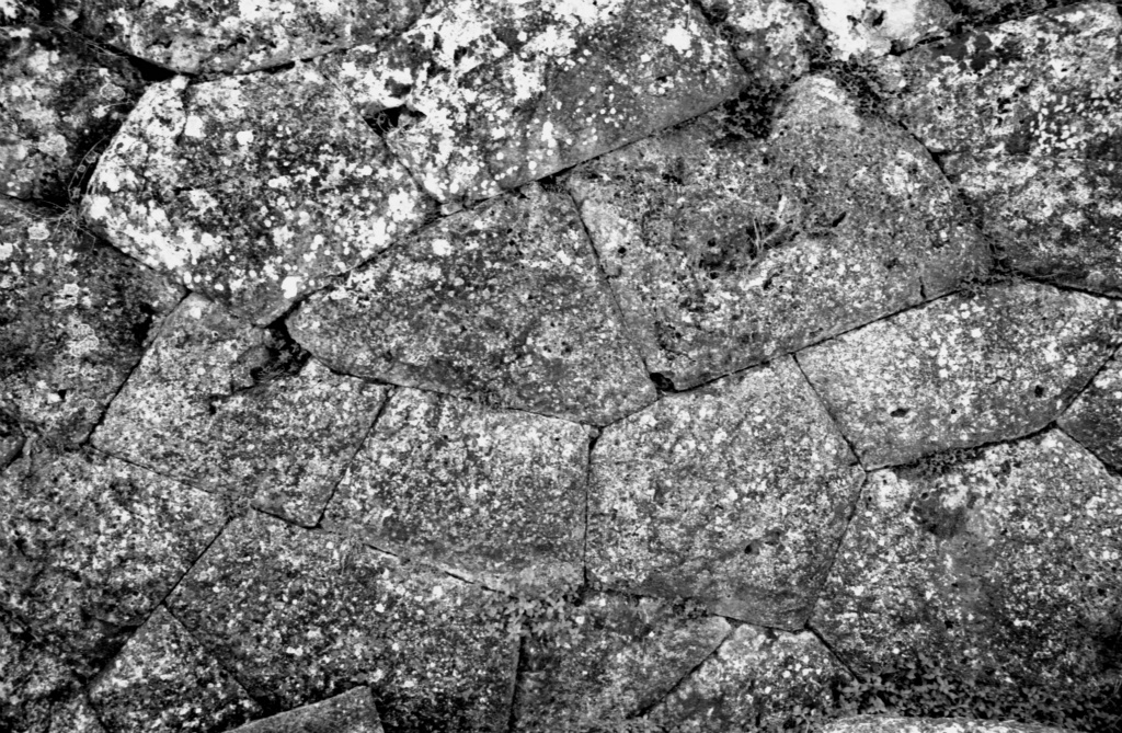 Nekromanteio 2006_02